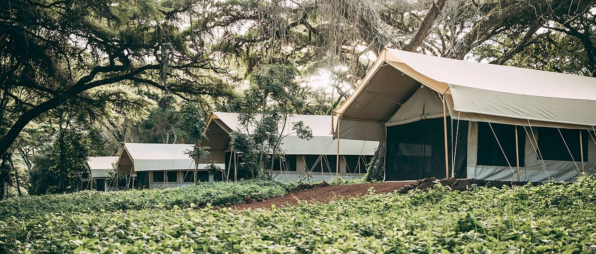 Ngorongoro Tortilis Camp