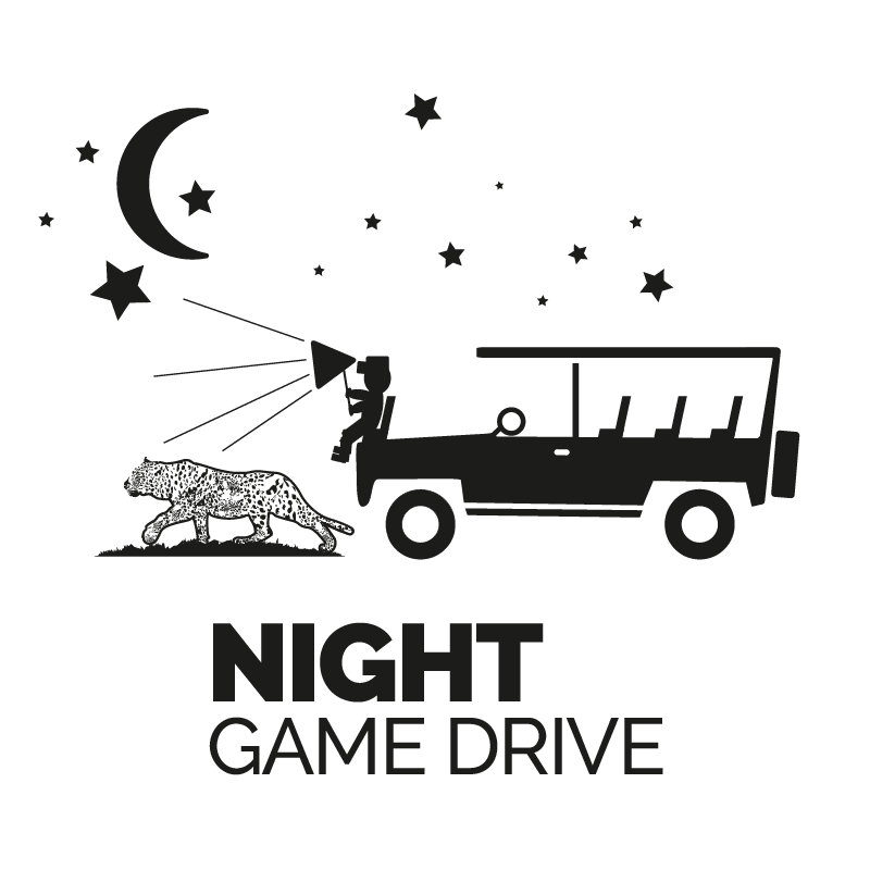 NIGHT GAME DRIVE