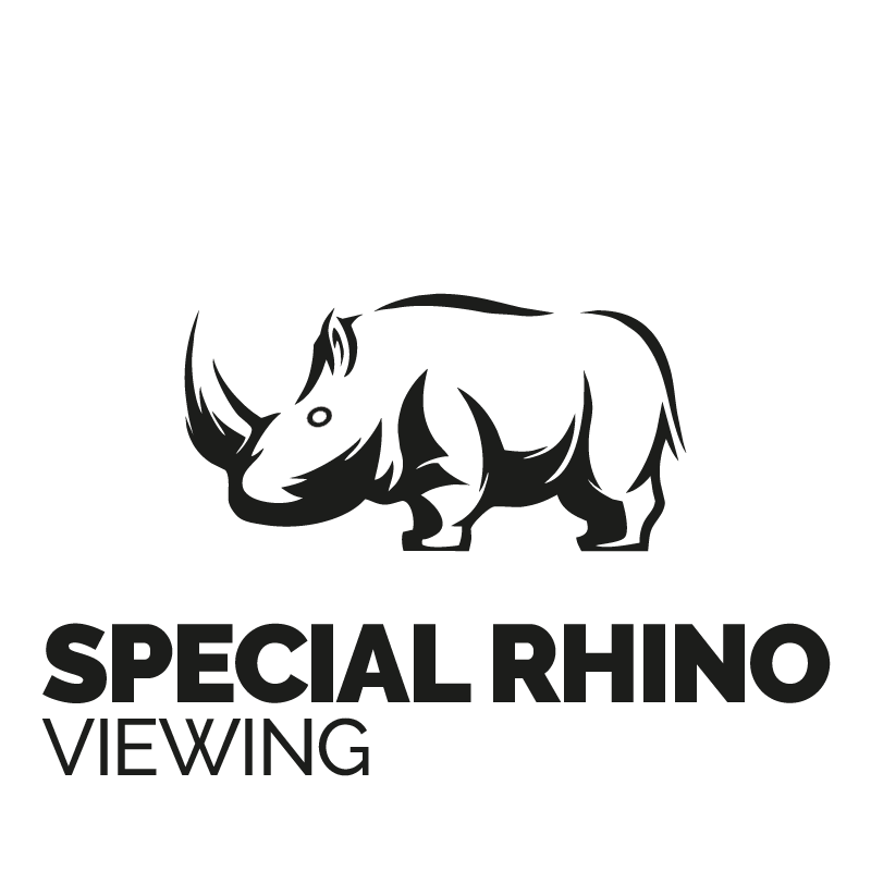 SPECIAL RHINO VIEWING