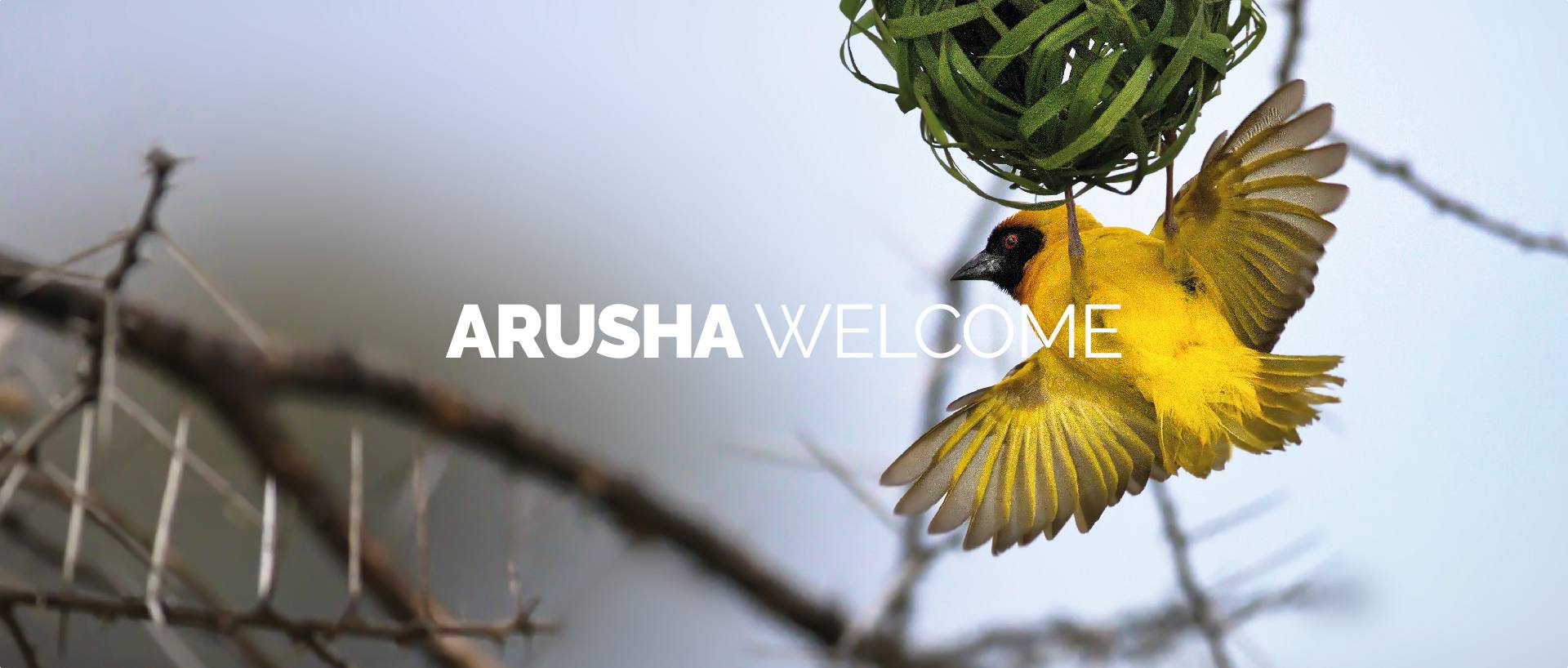 ARUSHA WELCOME