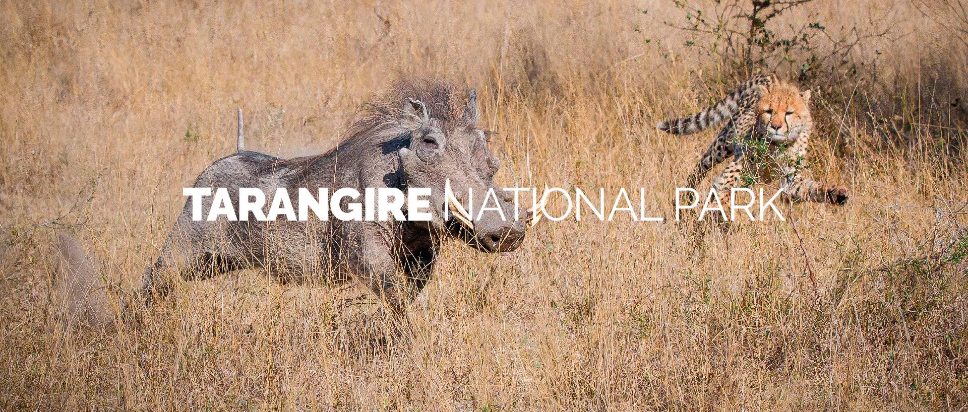 TARANGIRE NATIONAL PARK