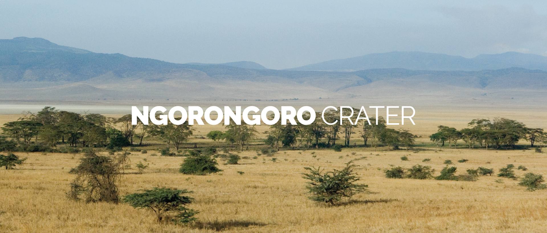 NGORONGORO CRATER