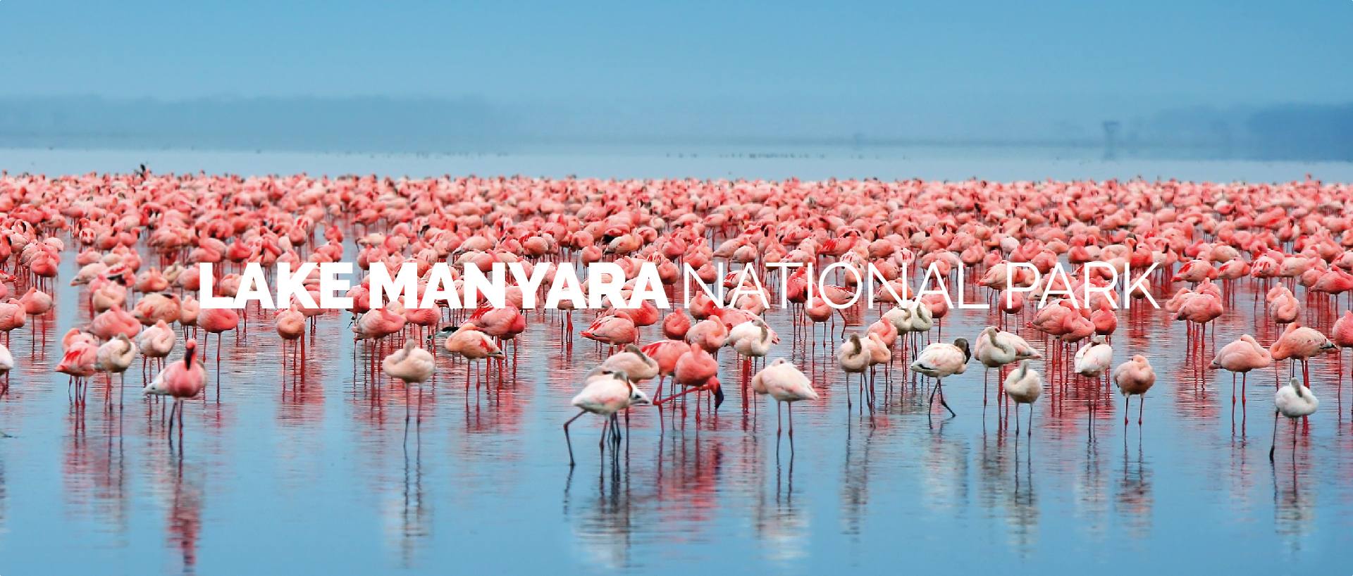 LAKE MANYARA NATIONAL PARK