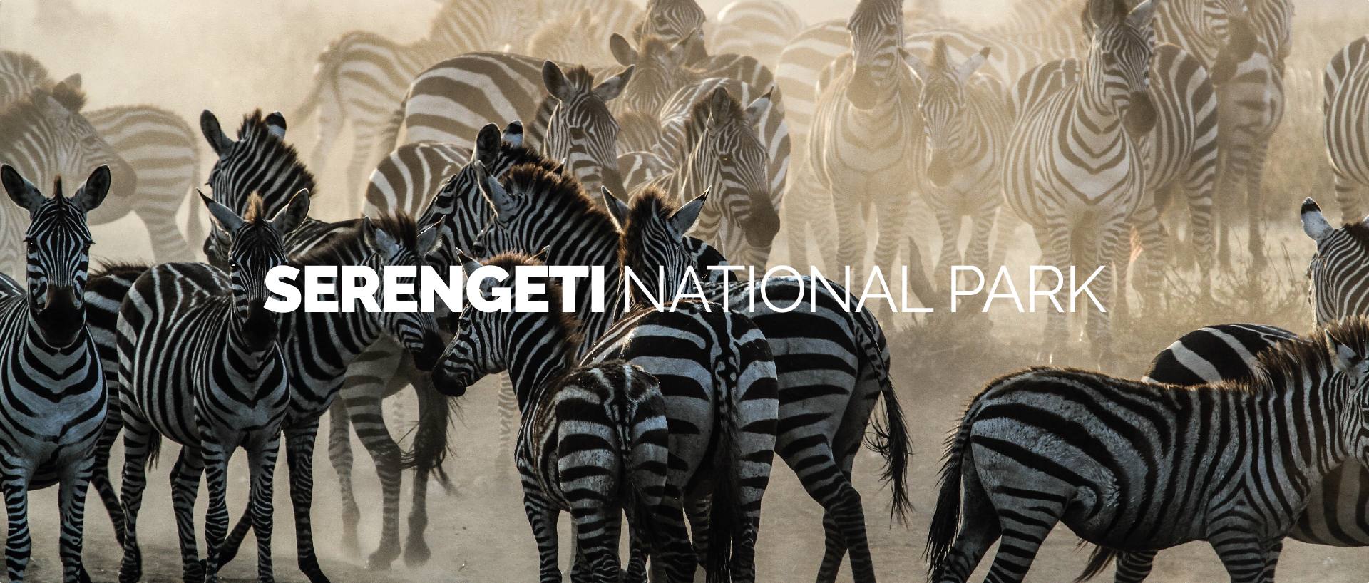 SERENGETI NATIONAL PARK