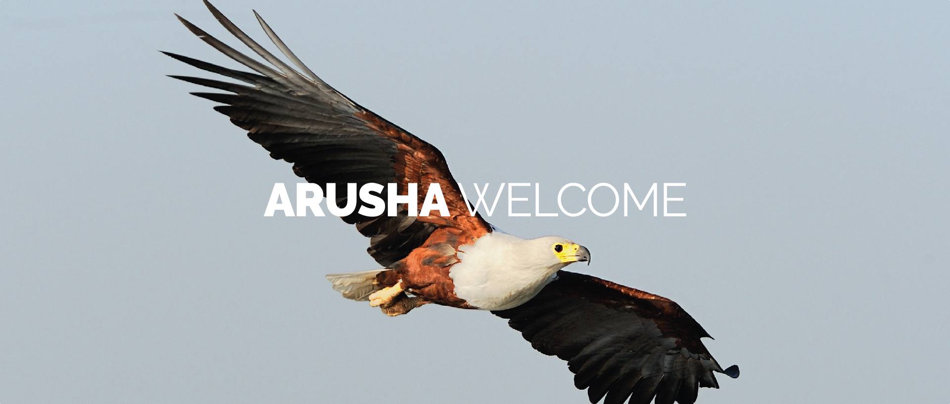 ARUSHA WELCOME