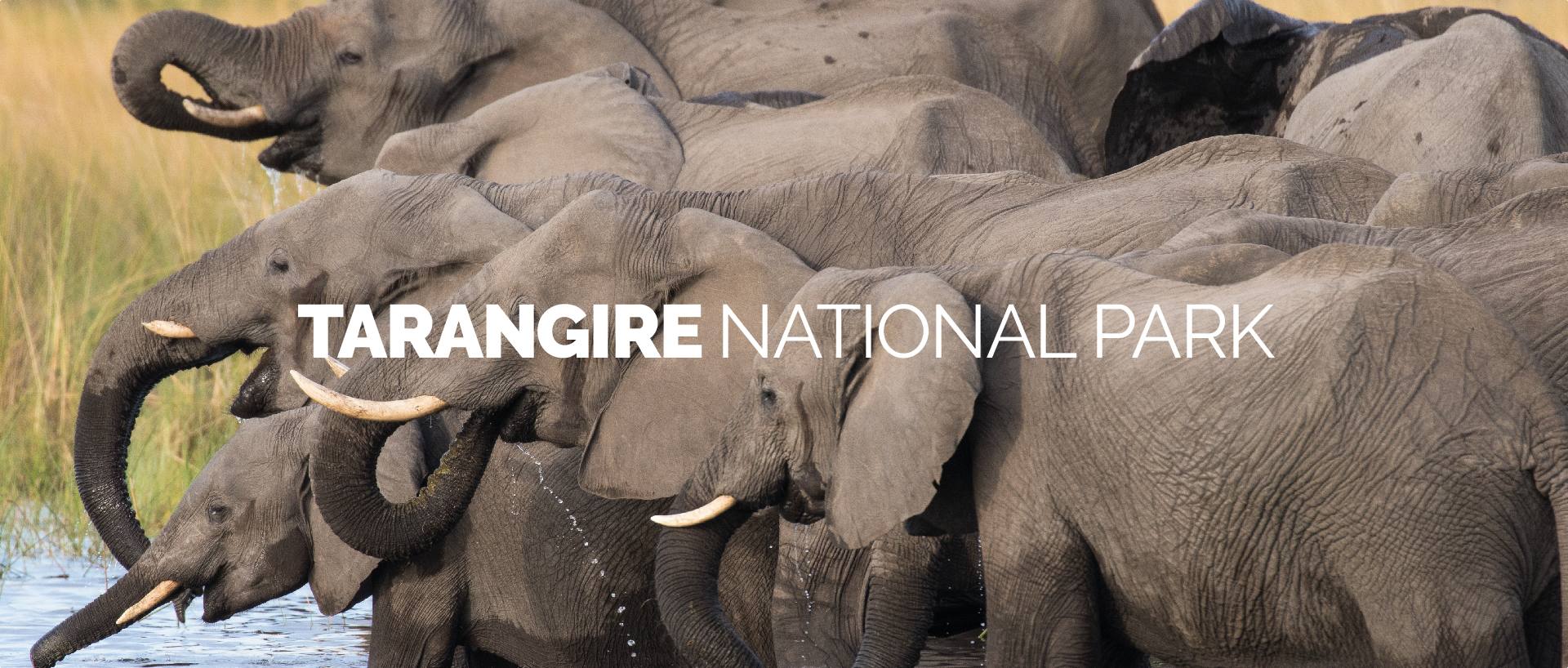 TARANGIRE NATIONAL PARK