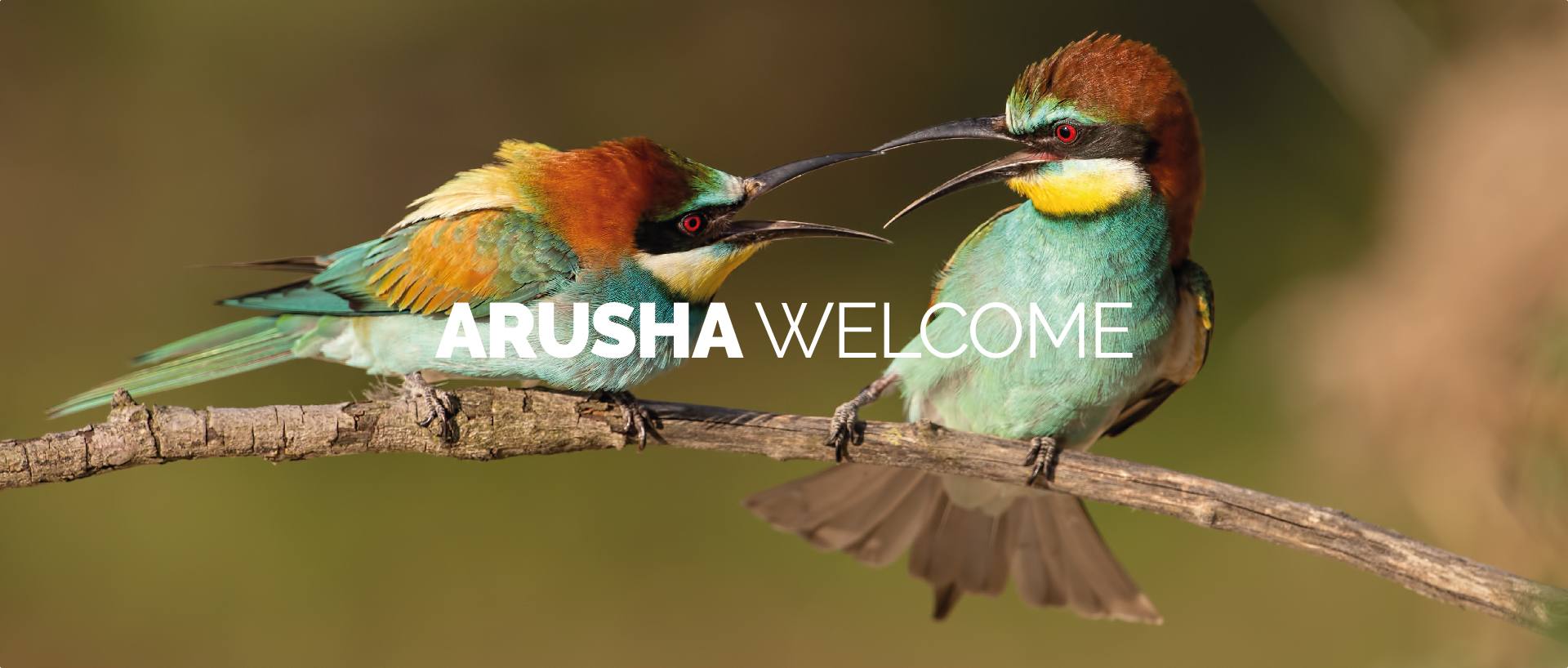 ARUSHA WELCOME