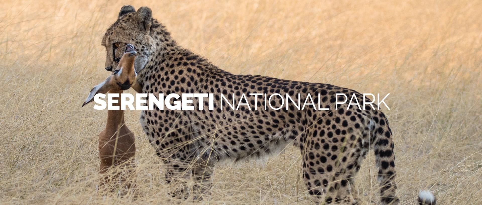 SERENGETI NATIONAL PARK