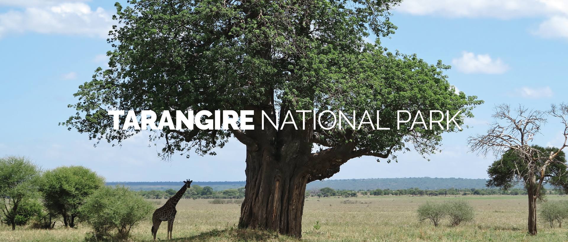 TARANGIRE NATIONAL PARK