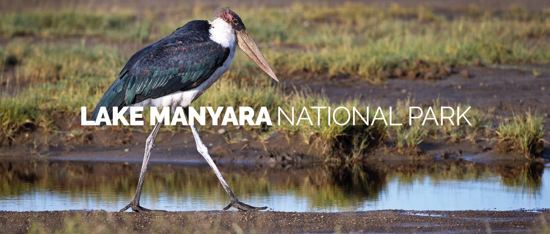 LAKE MANYARA NATIONAL PARK