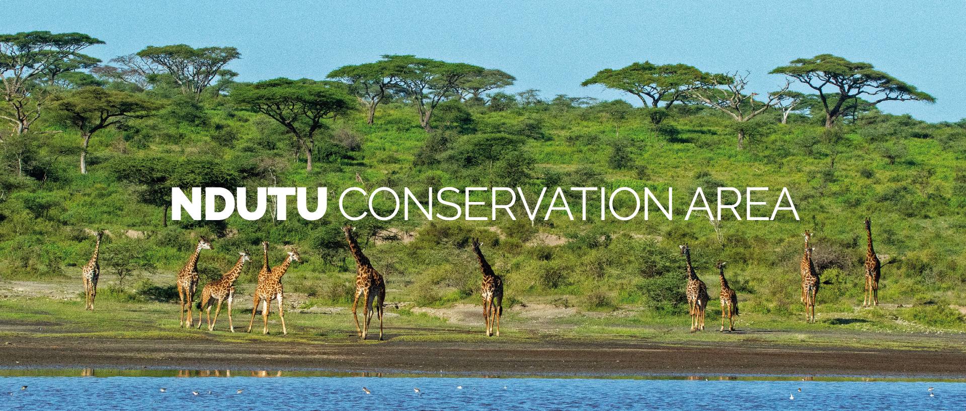 NDUTU CONSERVATION AREA