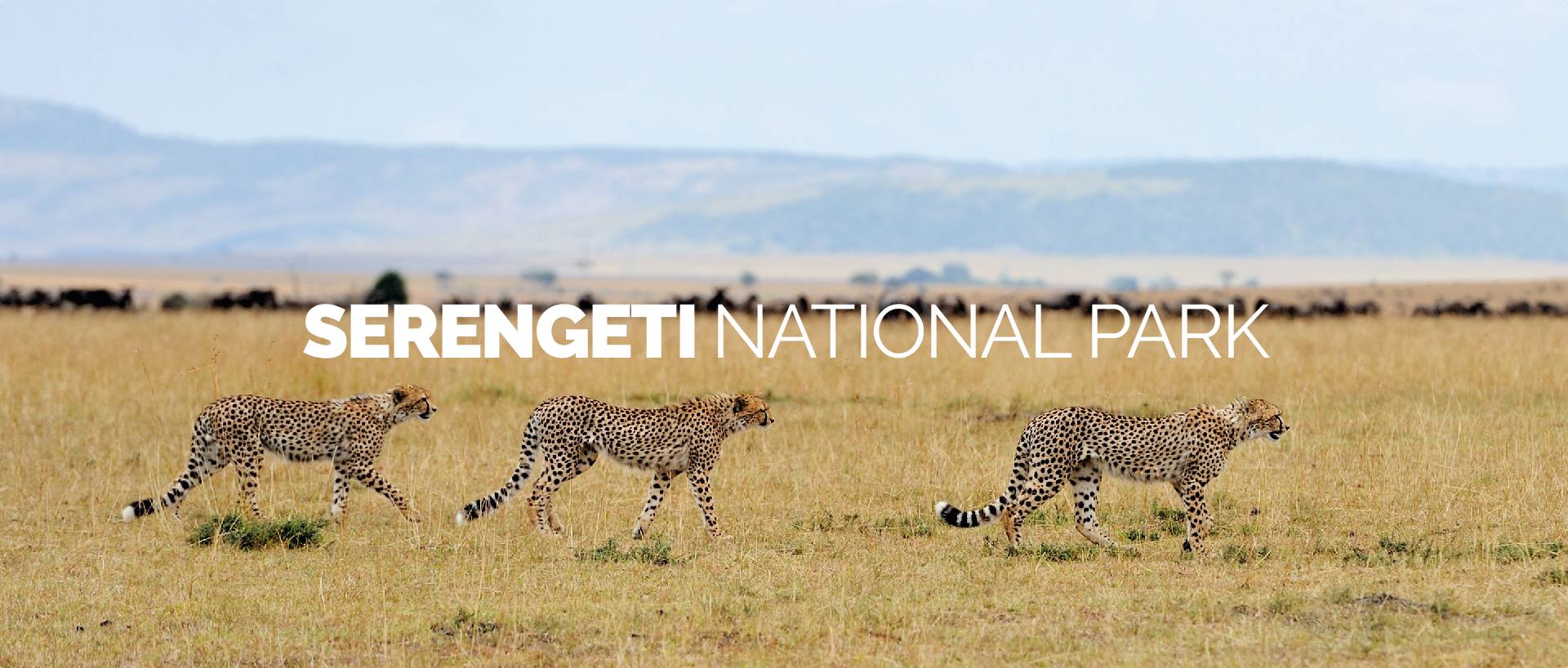 SERENGETI NATIONAL PARK