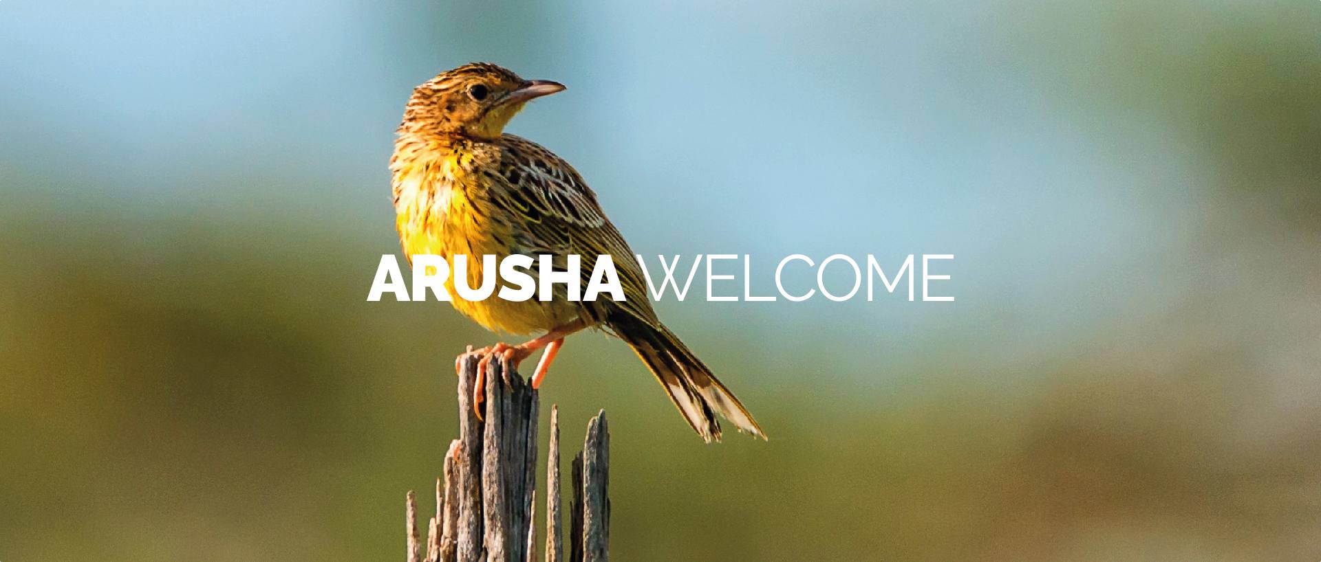 ARUSHA WELCOME