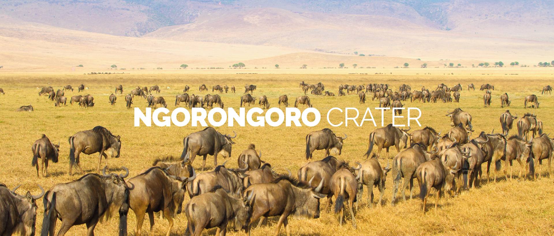 NGORONGORO CRATER