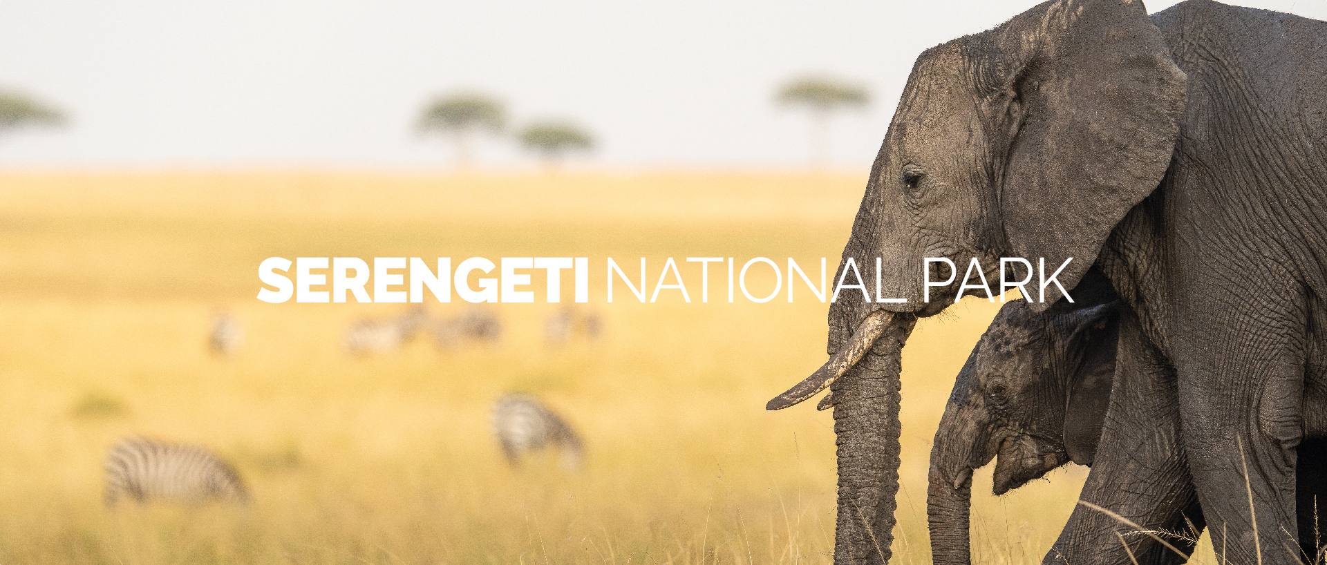 SERENGETI NATIONAL PARK