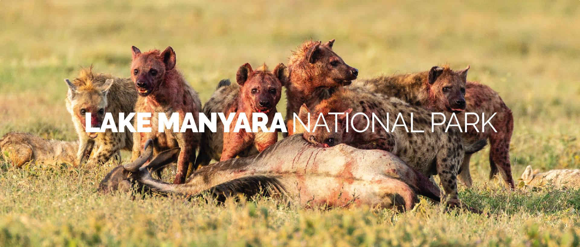 LAKE MANYARA NATIONAL PARK