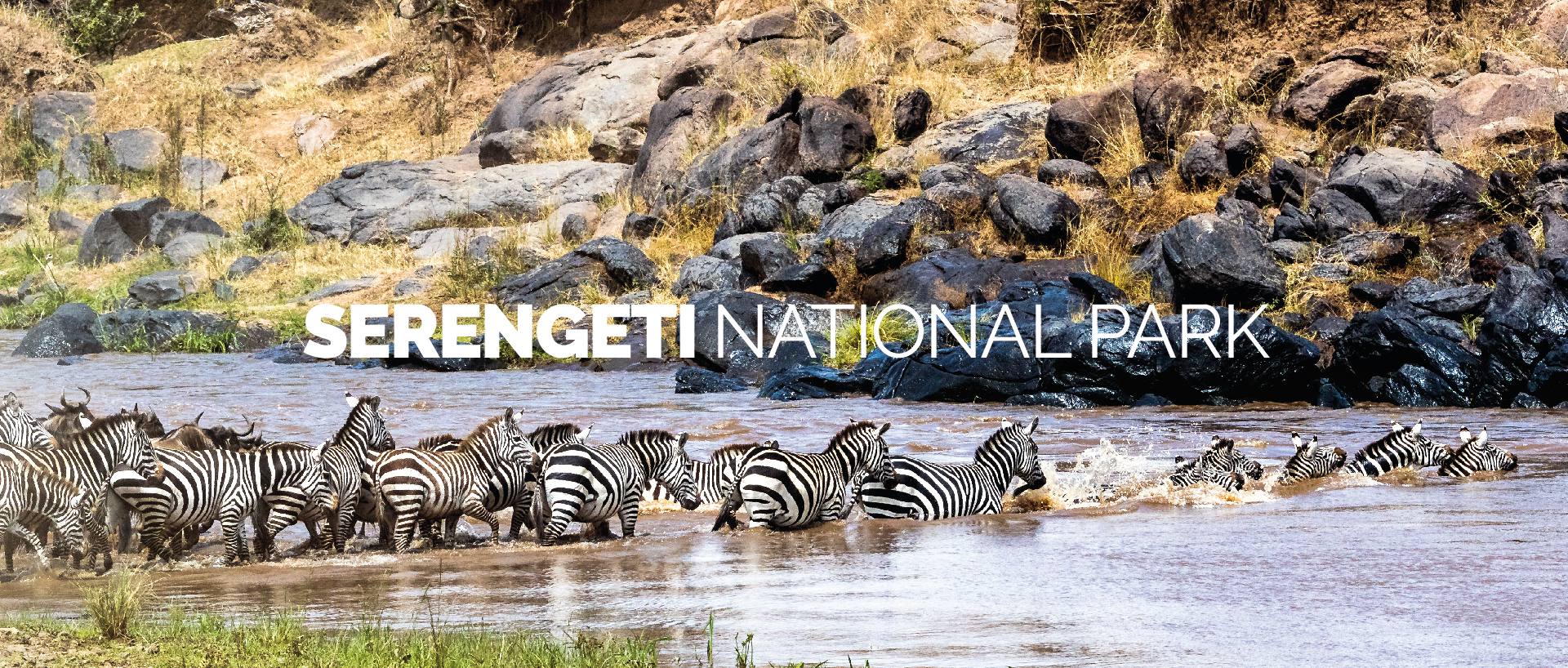 SERENGETI NATIONAL PARK