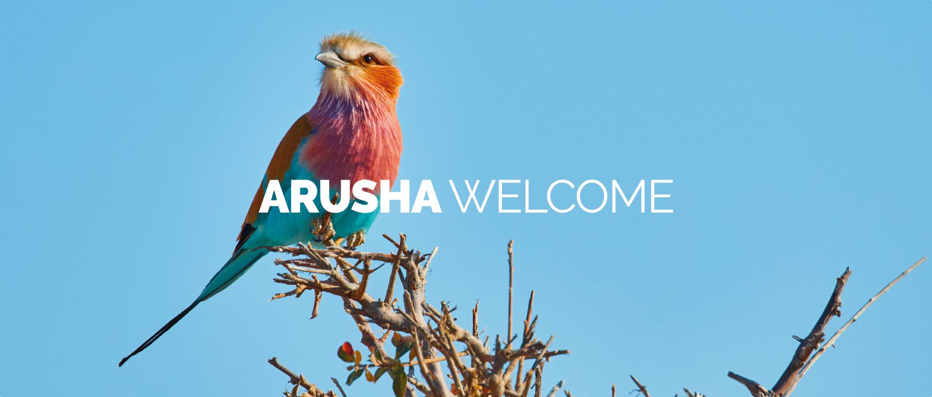 ARUSHA WELCOME