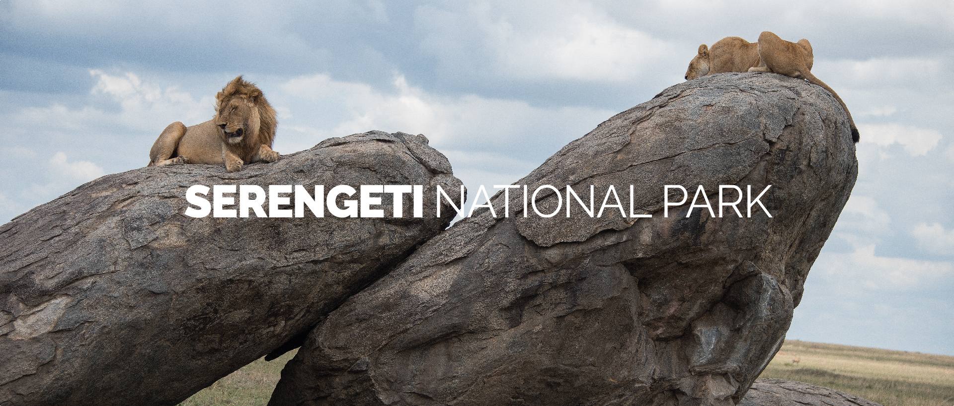 SERENGETI NATIONAL PARK