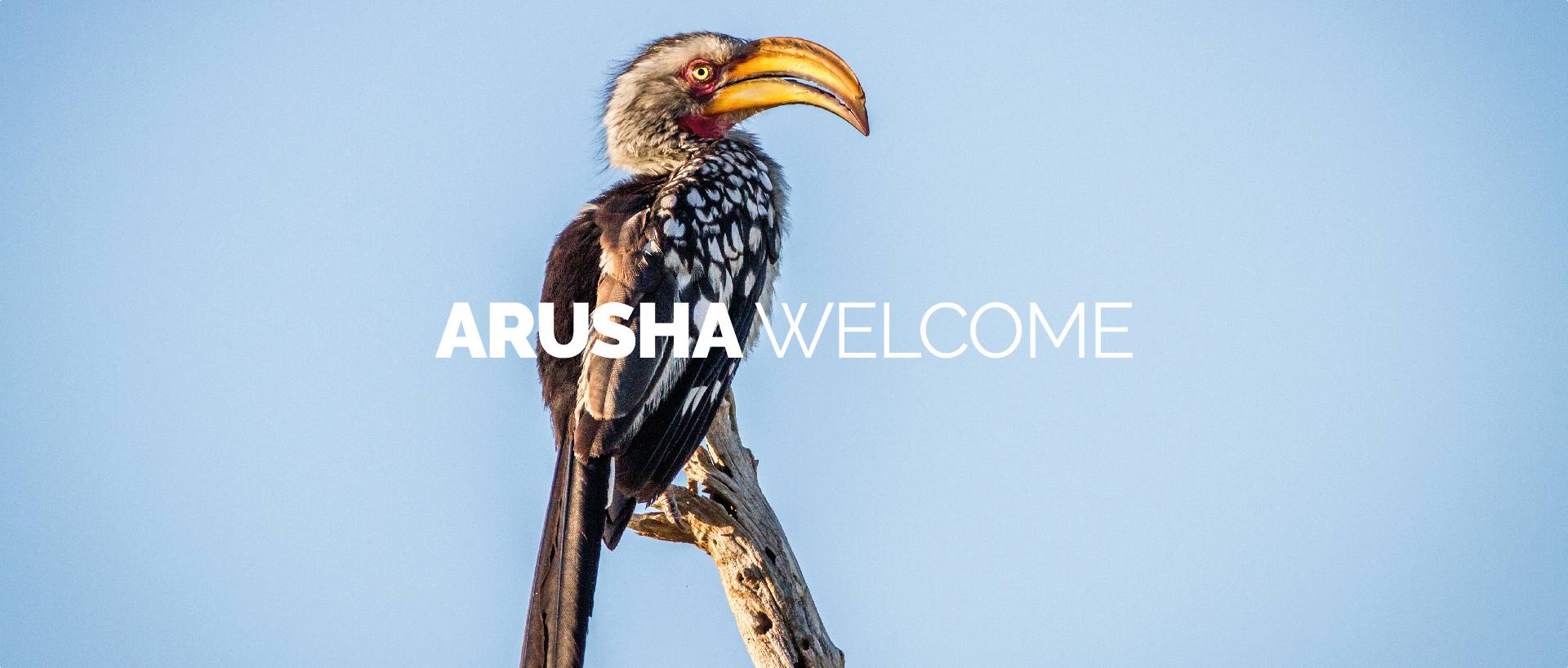 ARUSHA WELCOME