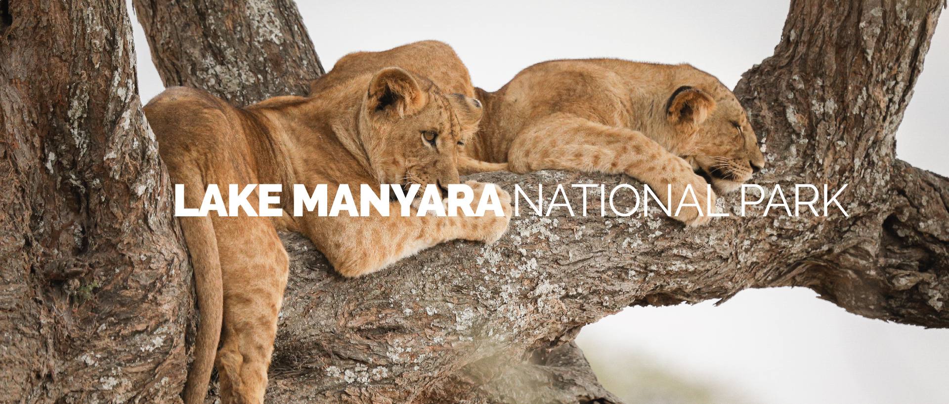 LAKE MANYARA NATIONAL PARK