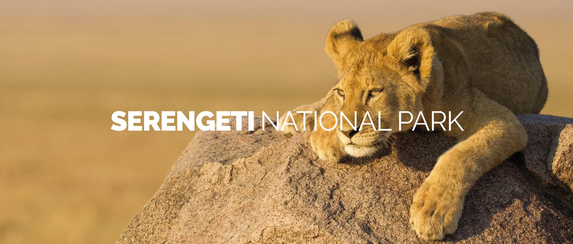 SERENGETI NATIONAL PARK