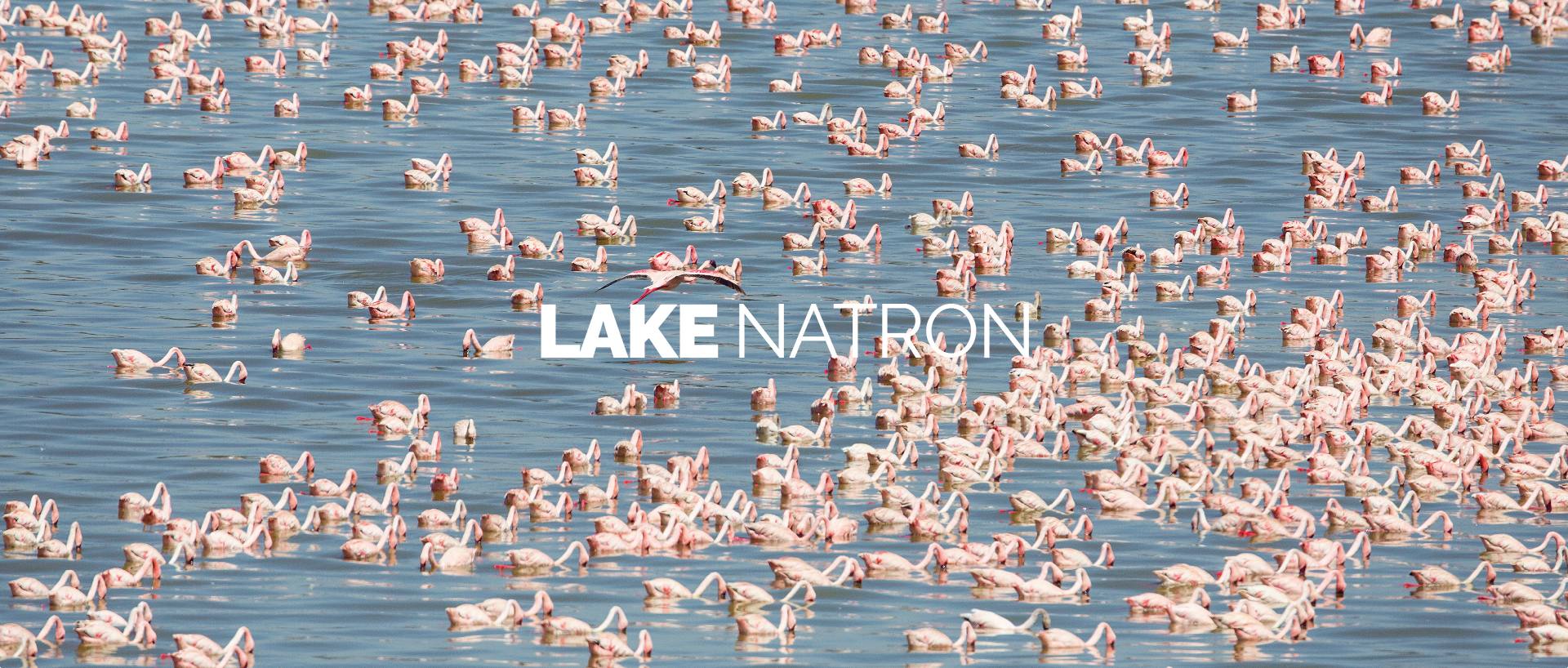 LAKE NATRON