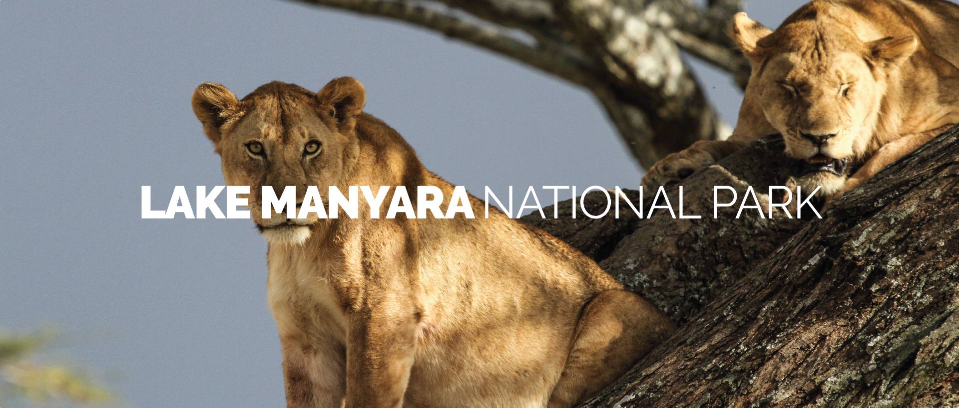 LAKE MANYARA NATIONAL PARK