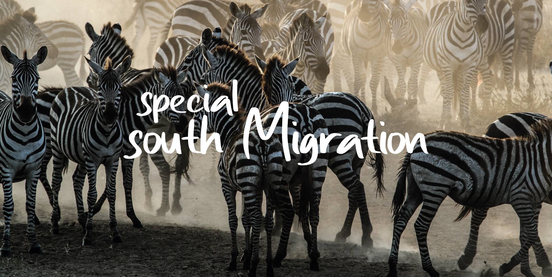 SPECIAL SOUTH MIGRATION