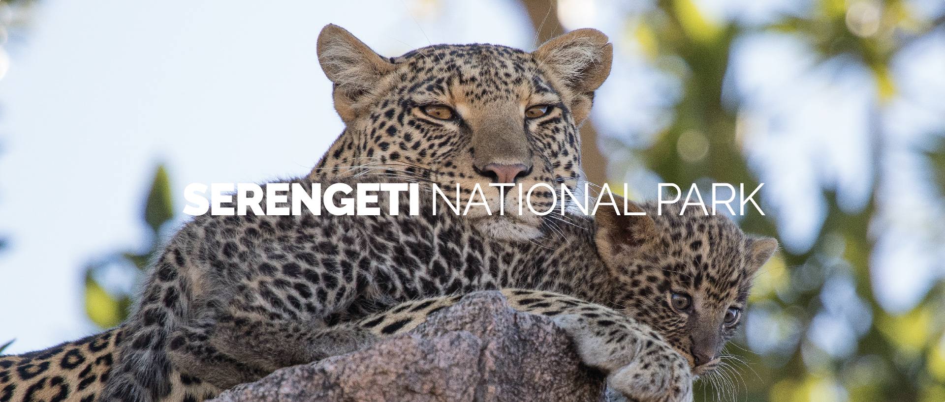 SERENGETI NATIONAL PARK