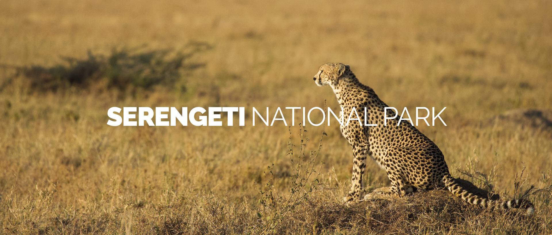 SERENGETI NATIONAL PARK