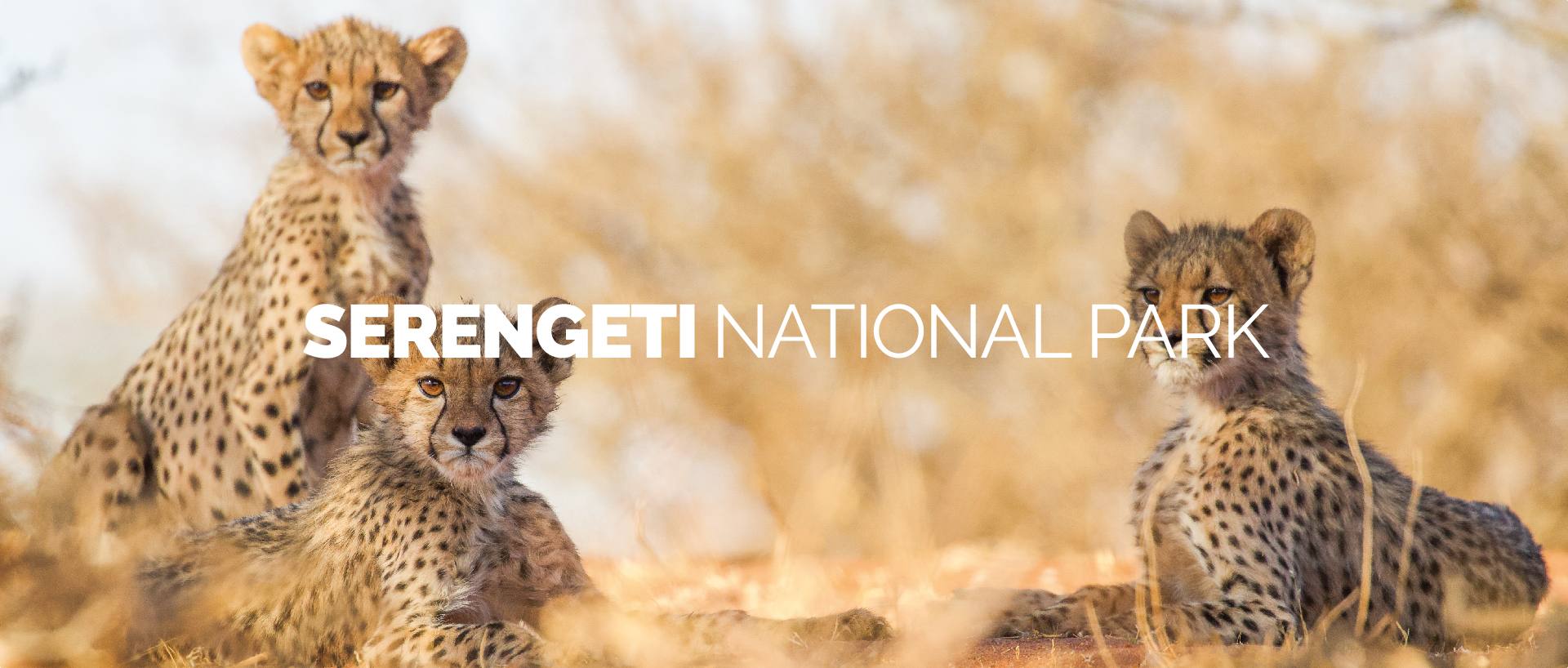 SERENGETI NATIONAL PARK