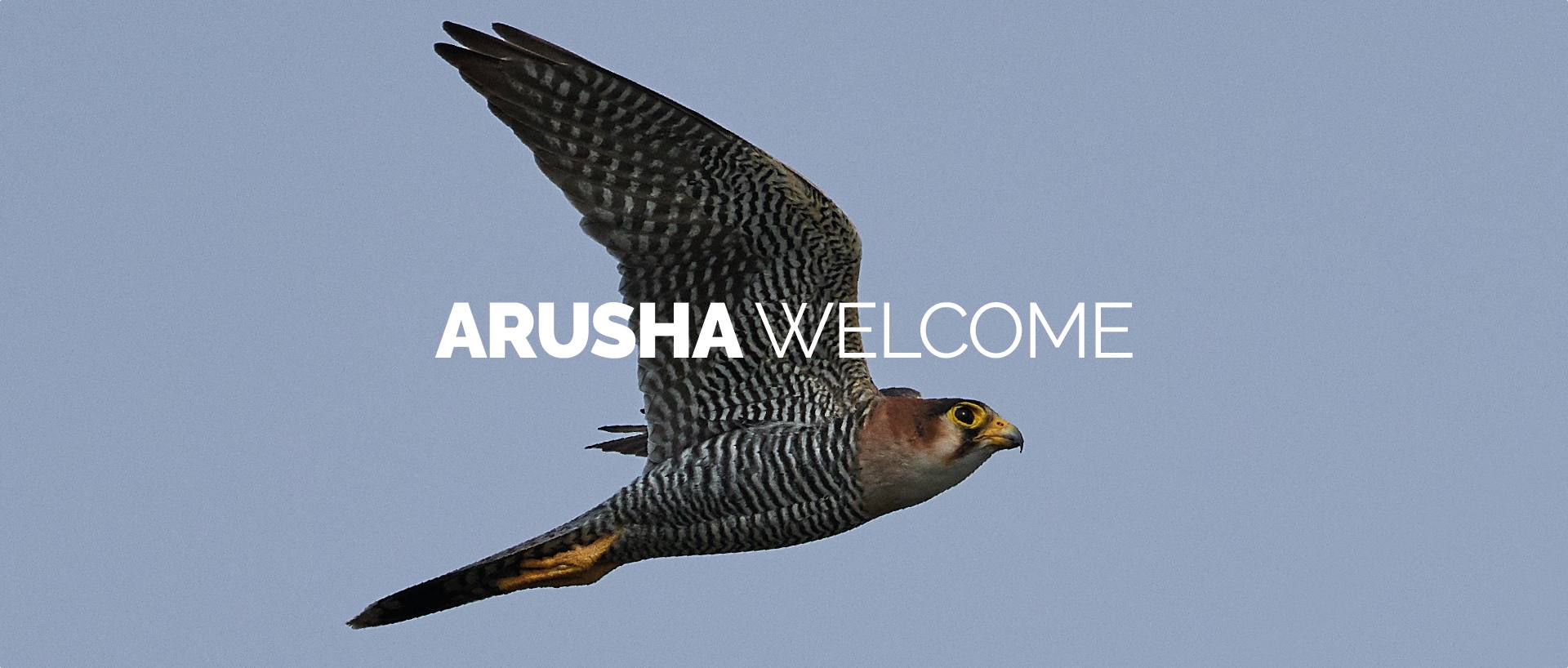 ARUSHA WELCOME