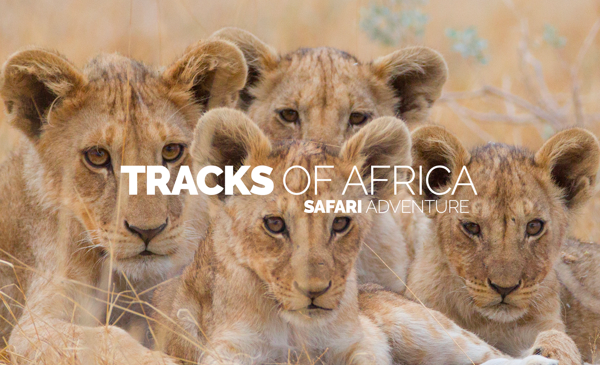 tracks of africa
