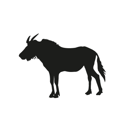 Gnu