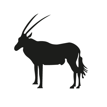 Oryx