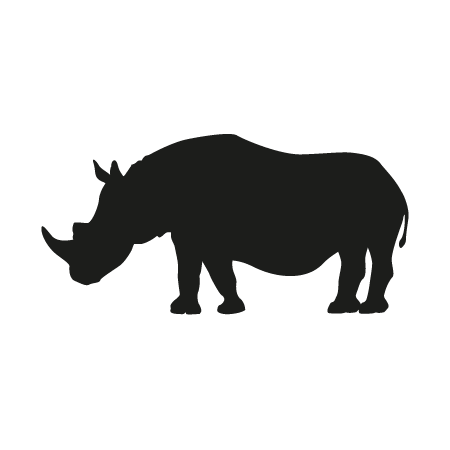 Rhinocéros