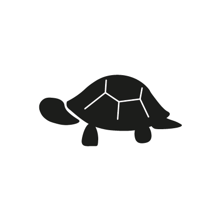 Land Turtle