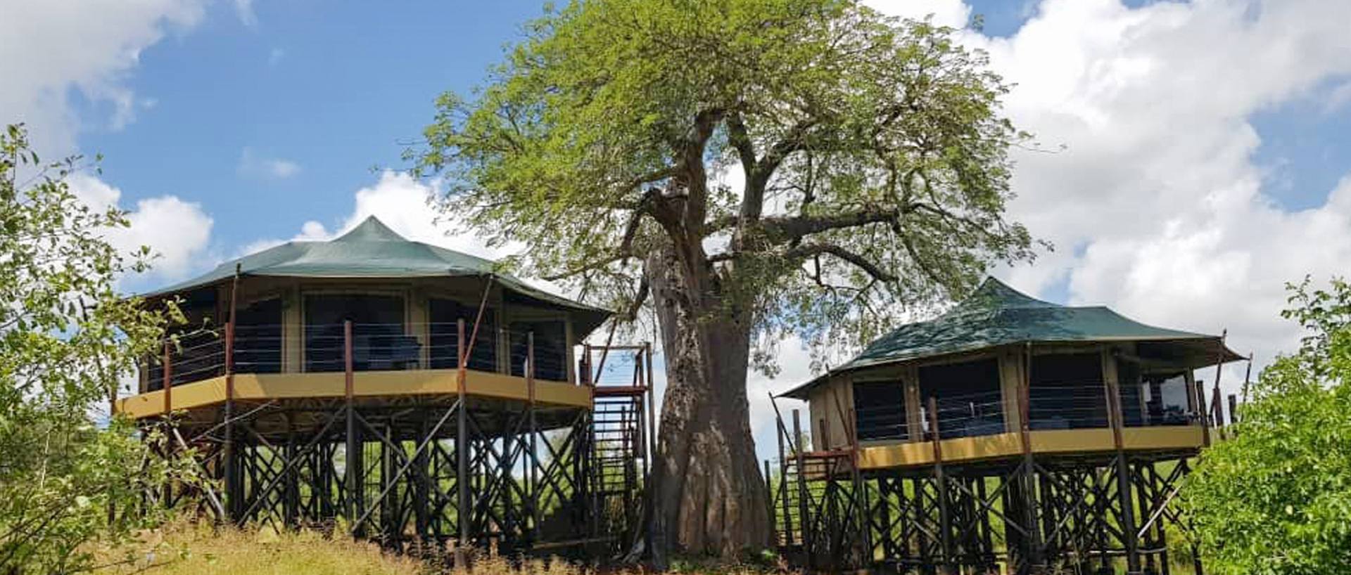 Tarangire Kuro Treetops Lodge