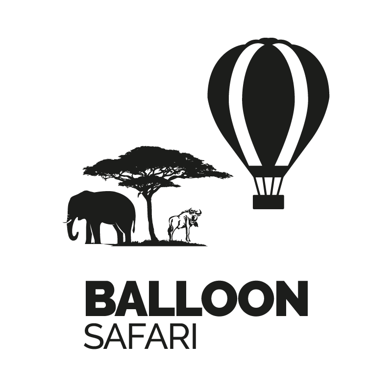 BALLOON SAFARI