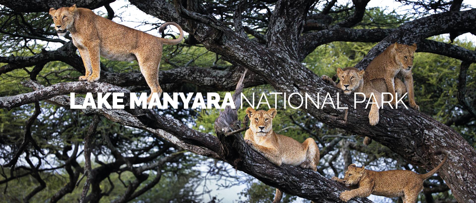 LAKE MANYARA NATIONAL PARK