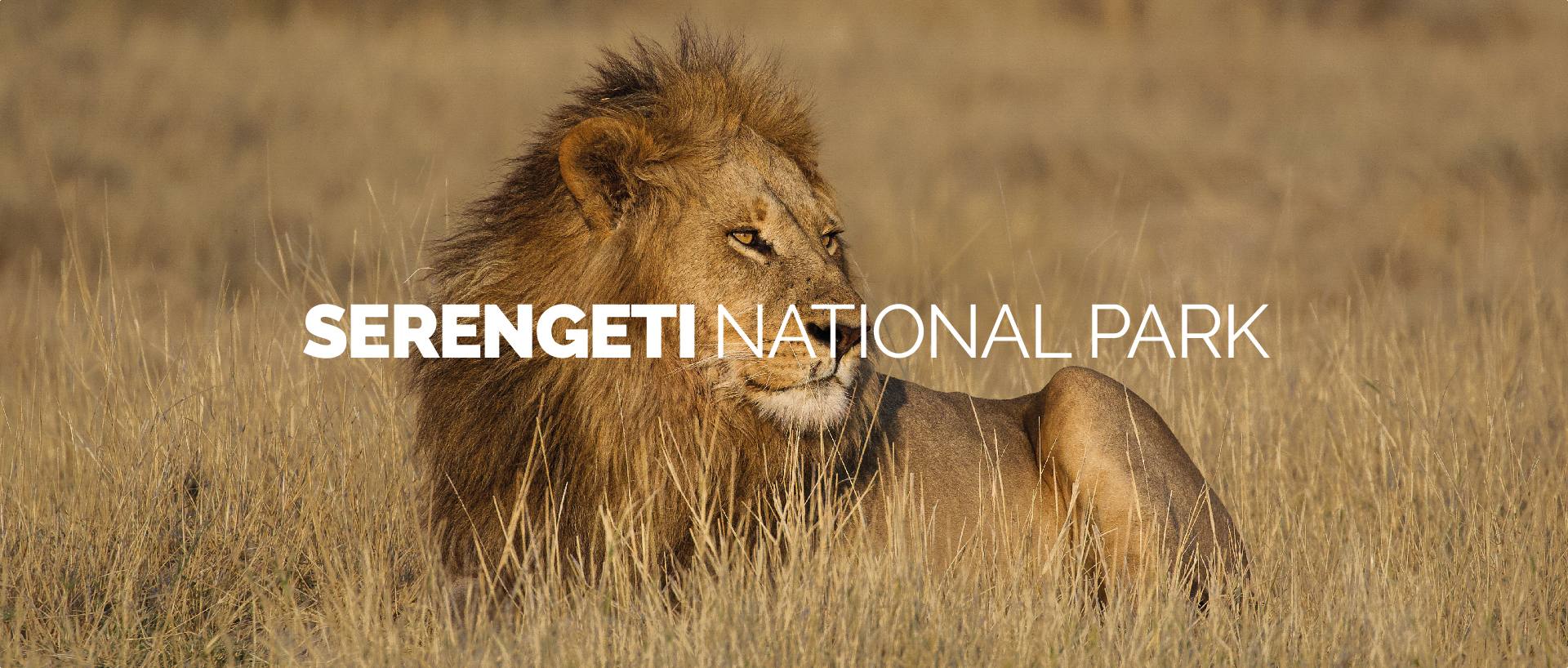 SERENGETI NATIONAL PARK - NORTH