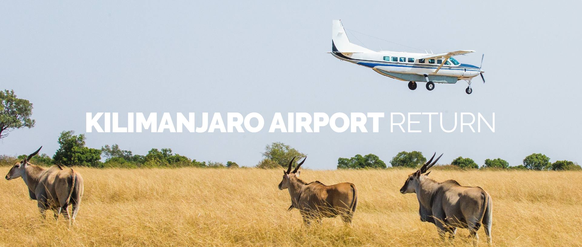 KILIMANJARO AIRPORT