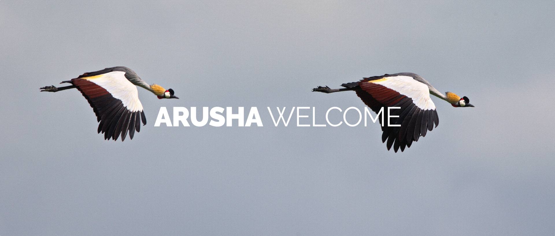 ARUSHA WELCOME