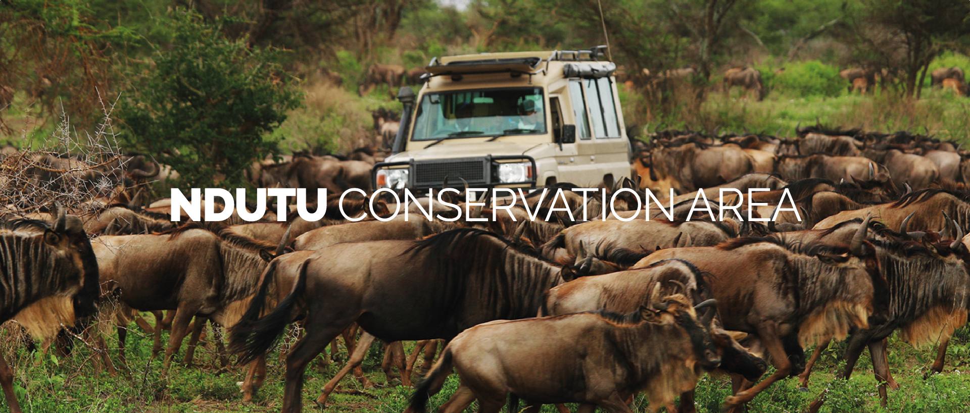 NDUTU CONSERVATION AREA