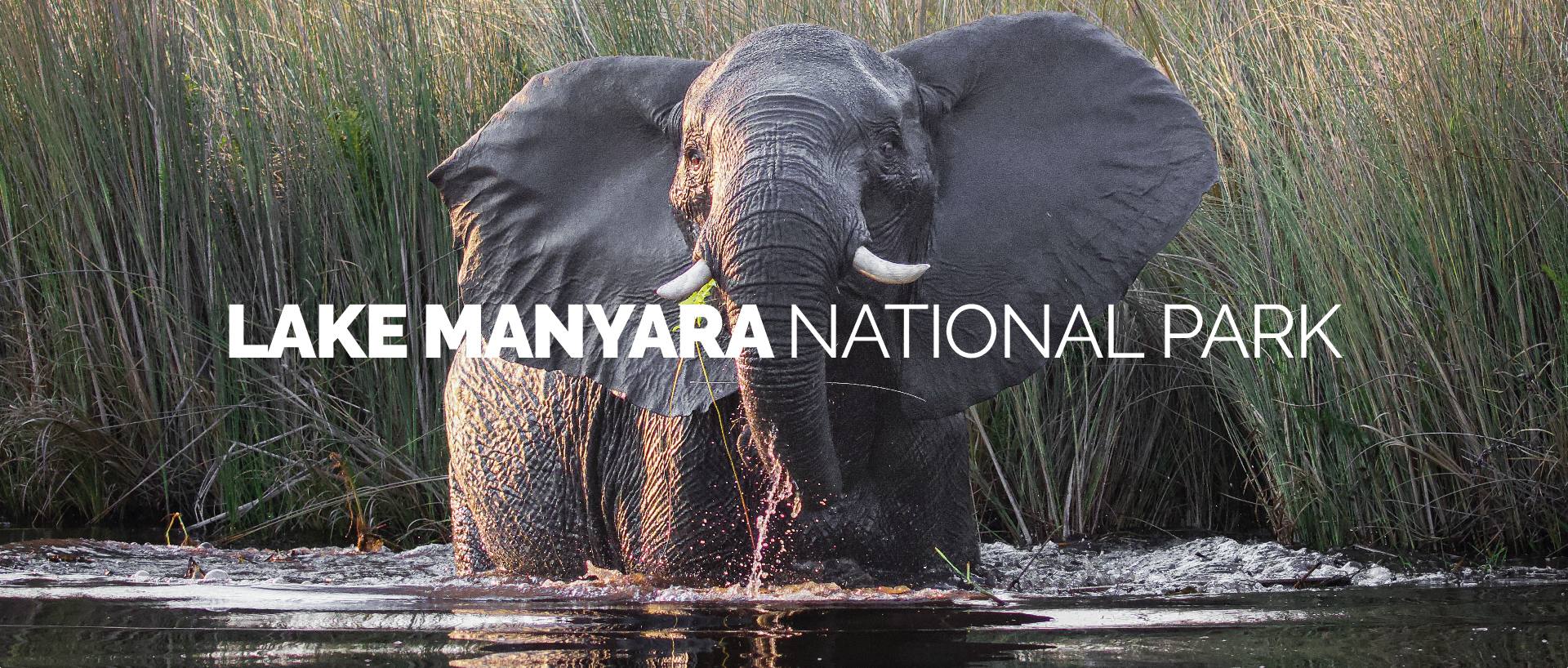  LAKE MANYARA NATIONAL PARK