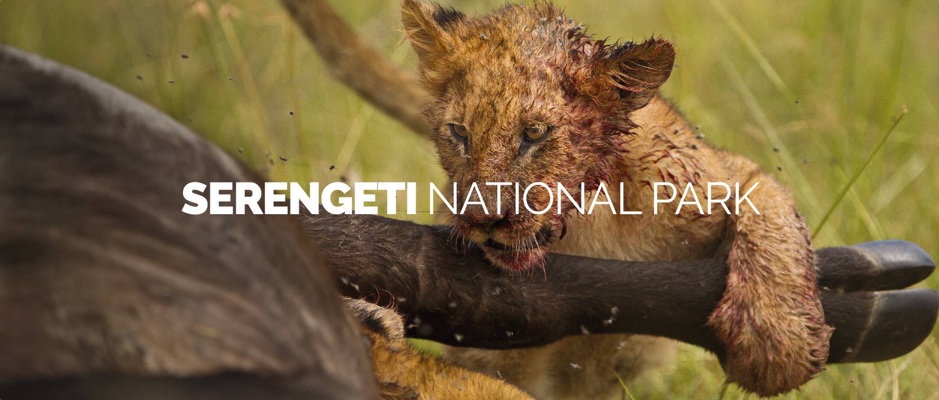 SERENGETI NATIONAL PARK