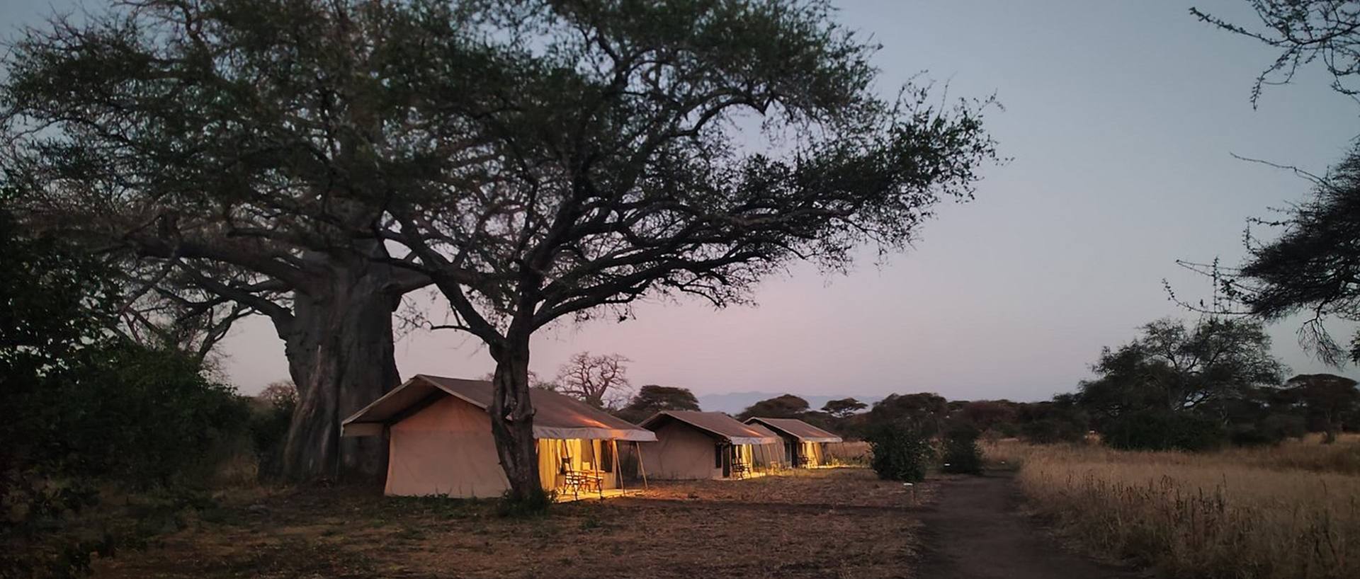 Baobab Tented Camp, Tarangire