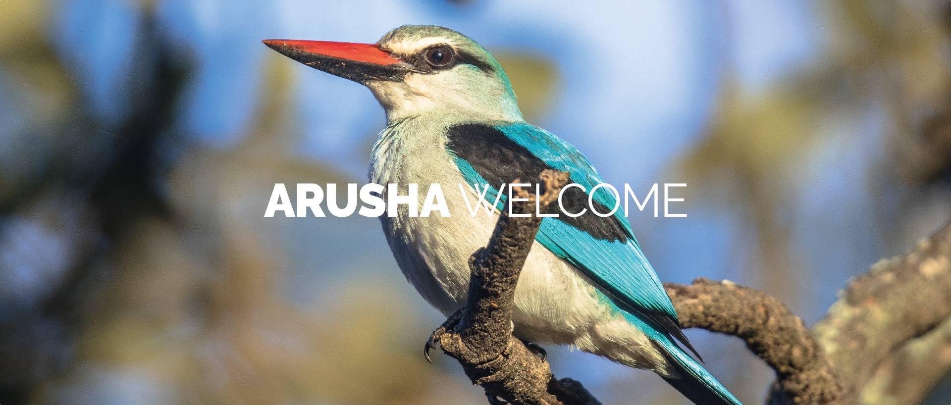 ARUSHA WELCOME