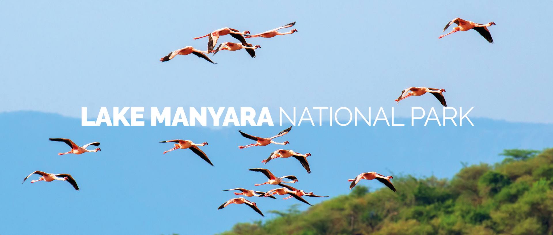 LAKE MANYARA NATIONAL PARK